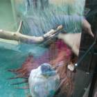 IMG_20160828_083654
