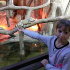 IMG_20171112_184915