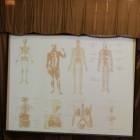 IMG_20171112_100850