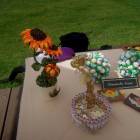 DSCN0938.JPG