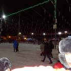 DSC08369.JPG