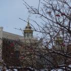 DSCN7098.JPG