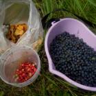 DSCN0627.JPG