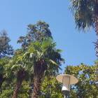 20180815_151431