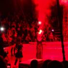 DSC07433.JPG