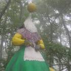 DSCN0313.JPG