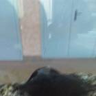 IMG_20160828_083524