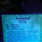 Мир динозавров. ТРЦ Италмас.63550