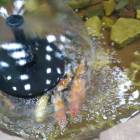 IMG_20171102_155039