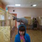 IMG-20170621-WA0018