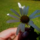 DSCN1670.JPG
