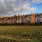 IMG_20181020_153628