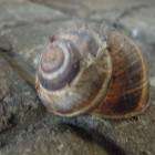 DSCN0658.JPG