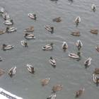 DSCN6882.JPG