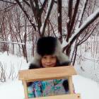 Кормушка для пернатых друзей120586