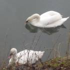 DSCN4934.JPG