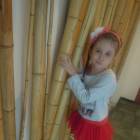 DSCN1816.JPG