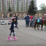 IMG_3035.JPG