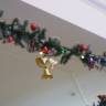 DSCN6518.JPG