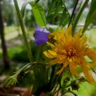 DSCN0390.JPG