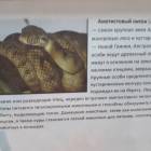 Выставка зоопарк "Живые тропики"60606