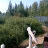 IMG_20160828_085933