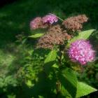 DSCN1641.JPG
