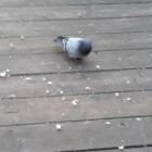 20191116_153714