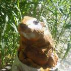 DSCN1551.JPG