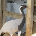 IMG_2597.JPG