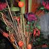 DSC04296.JPG