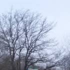 20171202_145522
