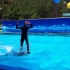 20180710_114703