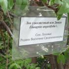 DSC05983.JPG