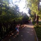 Сквер г. Чистополь 6