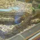 DSCN0408.JPG