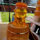DSCN0493.JPG