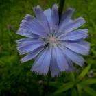 DSCN0576.JPG