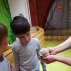 Контактный зоопарк. Казань.75618