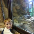 IMG_20171112_191835_1