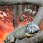 IMG_20171112_185110
