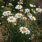DSCN9762.JPG