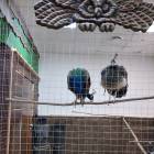 IMG_20181101_174834