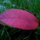 DSCN0354.JPG