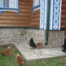 IMG_0775.JPG