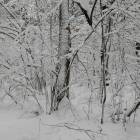 IMG_20171207_131546