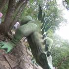DSCN0379.JPG