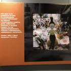 IMG_8376.JPG