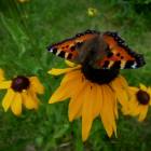 DSCN0634.JPG