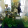 DSCN2269.JPG